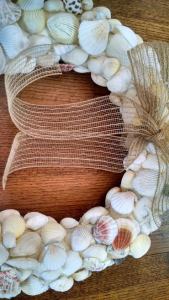seashell closeup 3